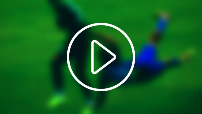 293395551_3299167930365179_9199900483911137344_n