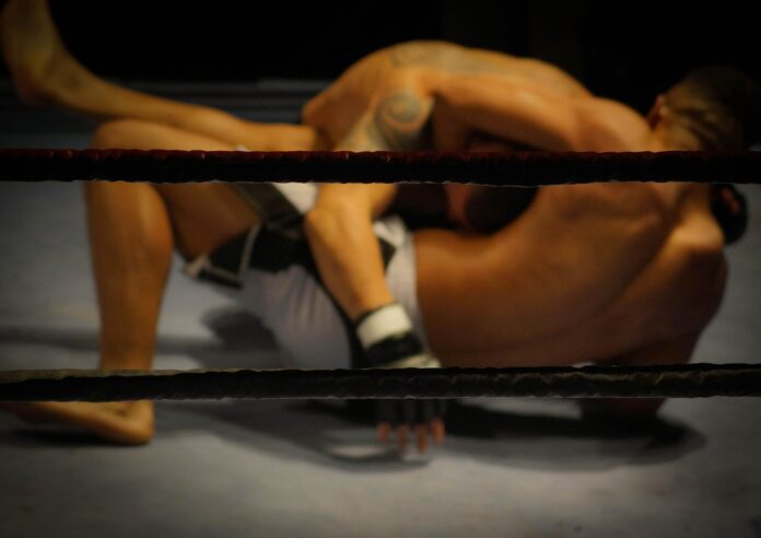 wrestling-gfcd0841cd_1920