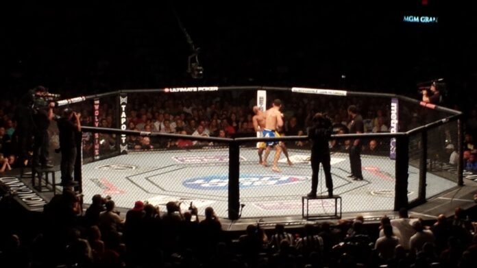Chris_Weidman_knock_out_Anderson_Silva_at_UFC_162.