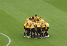 Wolves zwolniło trenera 45 dni po przedłużeniu z nim kontraktu