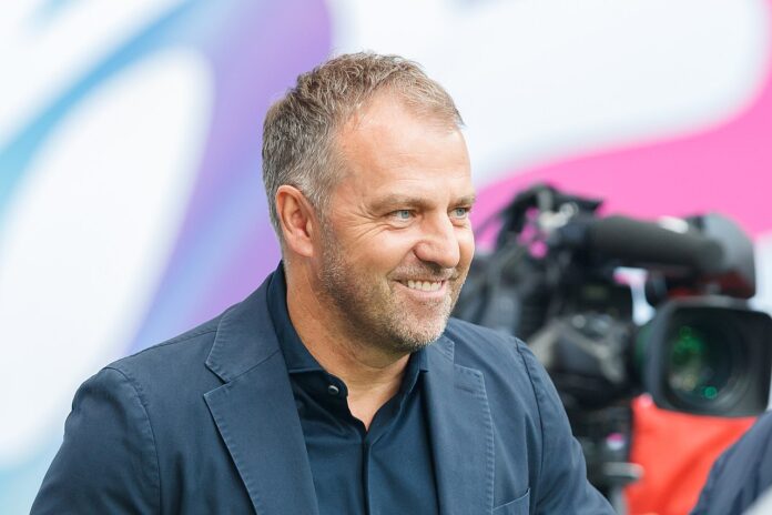 Hansi Flick (Bundestrainer), Porträt, Einzelbild