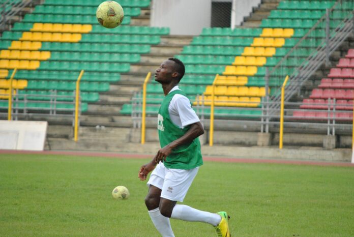 Désiré_A._sègbè_Ecureuils_du_Bénin_0234