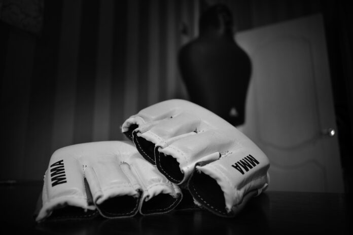 gloves-3311299_1920