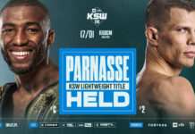 5 wniosków po XTB KSW 114 – kapitalny Salahdine Parnasse